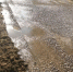 Открытие улицы Чернышевского в понедельник под вопросом - Новости Саратова Сегодня - SarOblNews.Ru