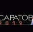 Интерактив. Какие события и темы стали главными в 2019 году? - КомпроматСаратов.Ru