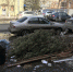 В Саратове с улицы Киселева перестали вывозить мусор - Общественное мнение