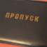 Пропуска для выхода на улицу смогут получить и волонтеры - SaratovNews.Ru