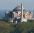 falco, pixabay.com - Sovetov.Su