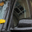 pixabay.com - Sovetov.Su