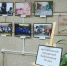 К юбилею Центральной городской библиотеки организована фотовыставка - Администрация г. Саратов