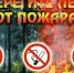В Саратовской области лесные пожары отсутствовали - Новости Саратова Сегодня - SarOblNews.Ru