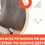 Запущен всероссийский сервис чекап бизнеса для регионов - Бизнес-инкубатор