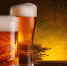 ФНС берет по пиву: в Саратове банкротят сеть магазинов BierFest - Business-Vector.Info