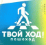 Региональная Госавтоинспекция проводит профилактическое мероприятие «Твой ход! Пешеход» с 20 по 26 сентября 2021 года - ГИБДД