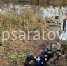 В Турках в водоеме обнаружено тело мужчины - ChpSaratov.Ru