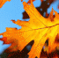 Жителей Саратовской области предупредили об усилении ветра до 20 м/с - Четвертая Власть