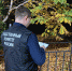 В Марксе насмерть забили пожилого мужчину - Saratov24.TV