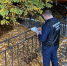 63352_1635221200_1_original - Novosti-Saratova.Ru