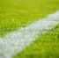 @StockSnap, pixabay.com - Sovetov.Su