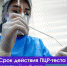 Срок действия ПЦР-теста сократят с 72 до 48 часов - ИА ЖКХ 64
