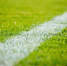@StockSnap, pixabay.com - Sovetov.Su