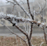 погода - Saratov24.TV