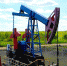 Попали в разработку: в Саратове банкротят две нефтяные компании с офшорами-собственниками - Business-Vector.Info