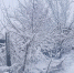 снег - Novosti-Saratova.Ru
