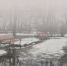 оттепельзимаснег - Novosti-Saratova.Ru