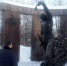 В Саратове депутаты возложили цветы к памятнику воинам-интернационалистам - Единая Россия