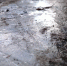 Погода Лед jpg - Saratov24.TV
