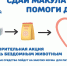 В саратовских школах стартовала благотворительная акция - Общественное мнение