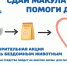В Саратове проходит акция в помощь приютам для собак - ИА СаратовБизнесКонсалтинг