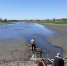 Экскаваторы тонули в иле при расчистке водохранилища под Саратовом - Saratov-news.net