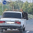 Саратовцев удивила лошадь в салоне автомобиля - Saratov-news.net