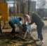 Октябрьский район принял участие в общегородском субботнике - SarVesti.Ru