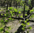 IMG_20230412_094842_637 - Novosti-Saratova.Ru