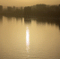 погода, весна, Саратов.jpg - Saratov24.TV