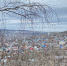 Саратовцы проведут выходные без осадков - Saratov24.TV
