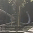 52d7701af91c7190ab690ac95c86e001 - Novosti-Saratova.Ru