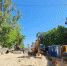 photo_2023-05-19_17-18-25 - Novosti-Saratova.Ru