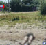 photo_2023-08-11_11-37-44 - Novosti-Saratova.Ru