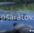 В Балашове спасатели извлекли из реки тело мужчины - ChpSaratov.Ru