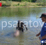 В Ртищево водолазы извлекли из водоема тело утонувшего мужчины - ChpSaratov.Ru