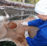 IMG_20230829_114510_611 - Novosti-Saratova.Ru