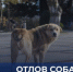Вниманию жителей города! - Администрация г. Саратов