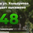 На ул. Хользунова высадят 48 саженцев тополя - Saratov-news.net