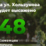 На ул. Хользунова высадят 48 саженцев тополя - Администрация г. Саратов