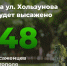 На ул. Хользунова высадят 48 саженцев тополя - SarVesti.Ru
