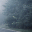 Саратовцам пообещали туманный день без дождей - Четвертая Власть
