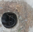 5ngpktu0ru04jsmrnxb9fyjup65qim1i - Novosti-Saratova.Ru