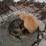 j7bj29b5ss6jv12ka3rxhc34w6t9rwdj - Novosti-Saratova.Ru