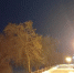В Саратове слабая изморозь - SaratovNews.Ru