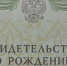 Артём и София - самые популярные имена для новорождённых в Саратове - SaratovNews.Ru