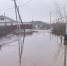 паводок.jpg - Saratov24.TV
