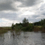 Под Саратовом в реке Малый Узень ищут тело утонувшего мальчика - Газета Репортер