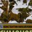 Военная проза от ЛитРес-библиотеки - Библиотека им. А.С. Пушкина